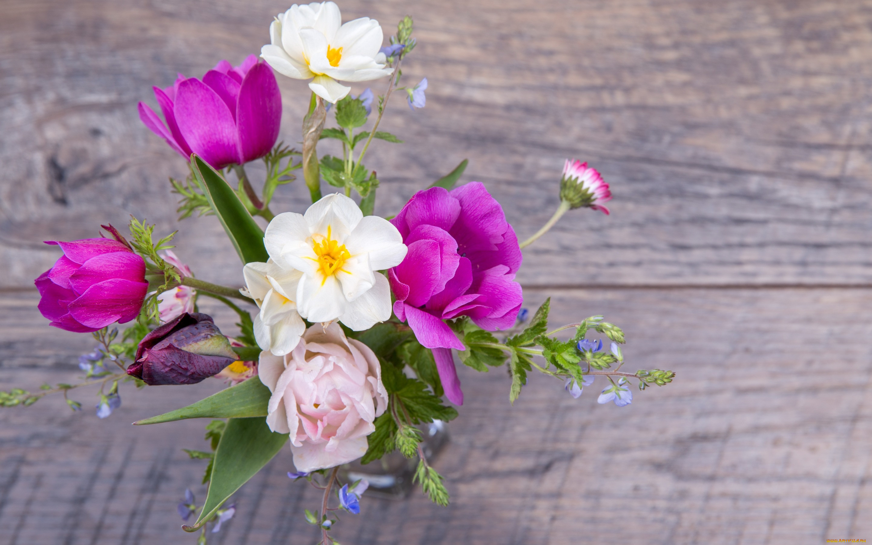 , ,  , , colorful, wood, pink, , tulips, , , spring, flowers